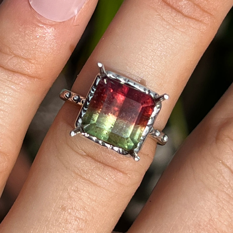 PRE-ORDER FOR JANET- Watermelon Tourmaline Ring- Sz 6