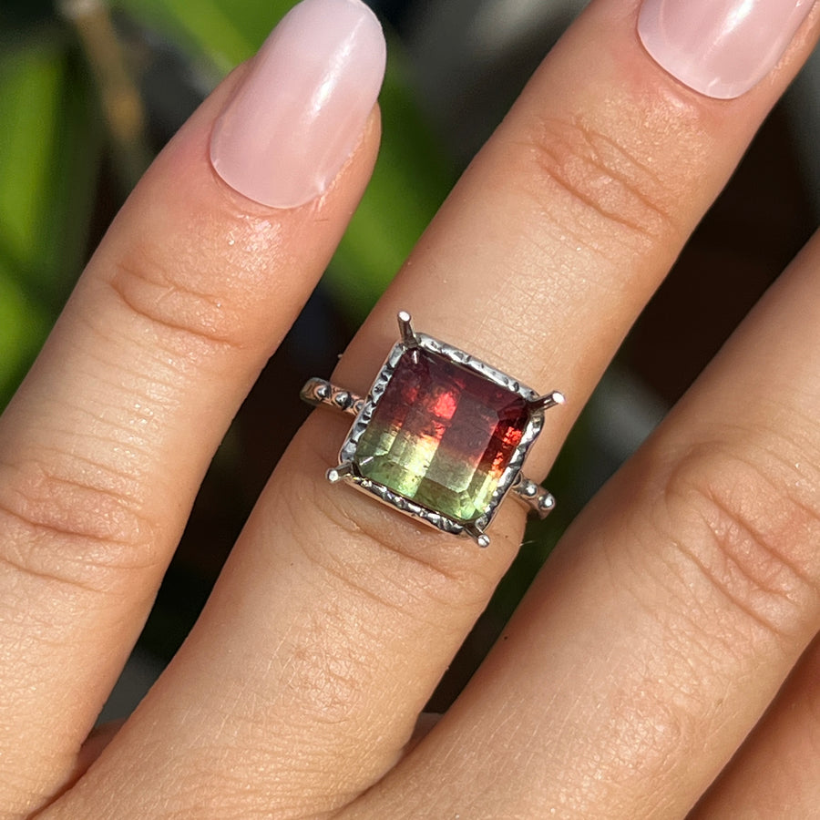 PRE-ORDER FOR JANET- Watermelon Tourmaline Ring- Sz 6